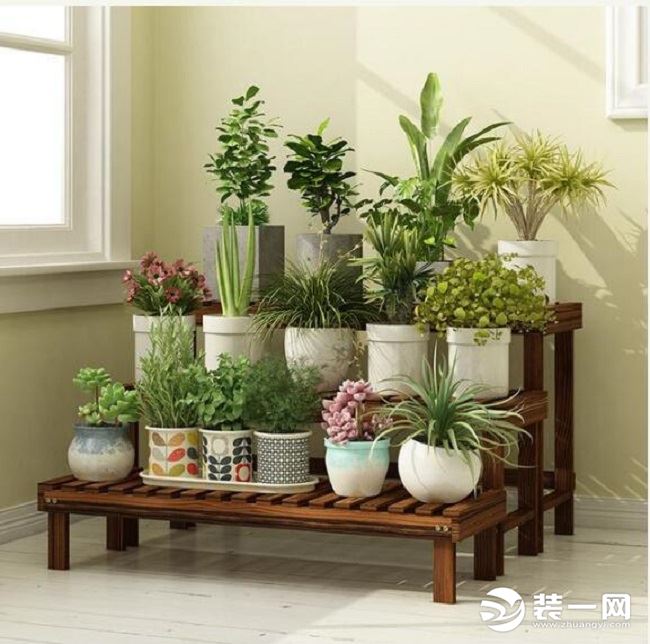 室内花架样式推荐,大小花草安排的明明白白,简直不能更优秀